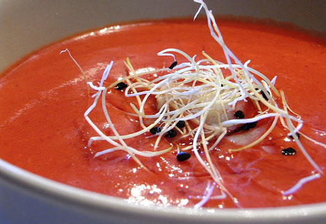 Gazpacho de Tomate